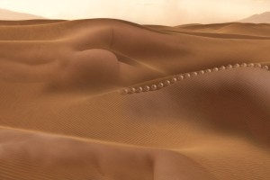 Sensual Dunes